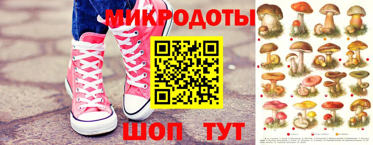 Зерноград  закладки  Псилоцибиновые грибы Psilocybine cubensis  Вход с VPN  Галлюциногенные грибы MAGIC MUSHROOMS 